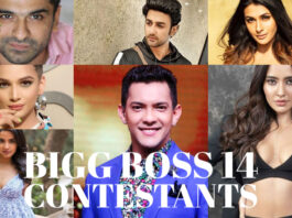 BIGG-BOSS-14-Contestants
