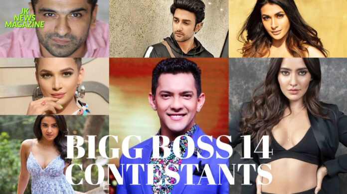 BIGG-BOSS-14-Contestants